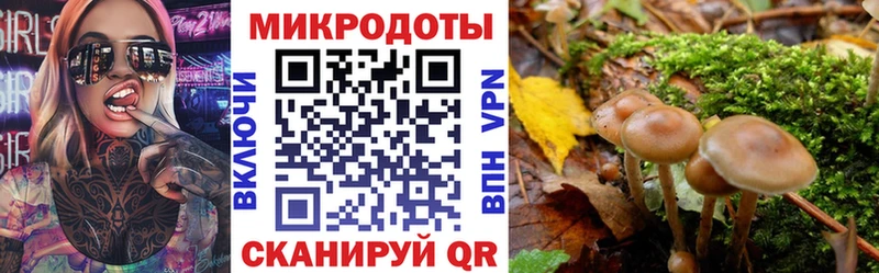где купить наркоту  Алексин  Галлюциногенные грибы ЛСД 