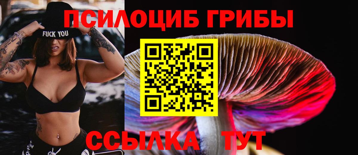 Псилоцибиновые грибы MAGIC MUSHROOMS Алексин