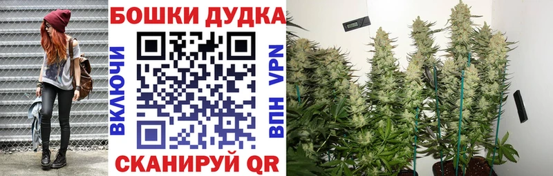 Бошки марихуана SATIVA & INDICA  Алексин 
